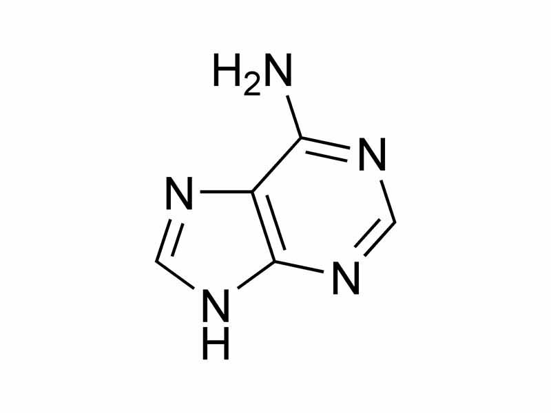 Adenine chemical structure