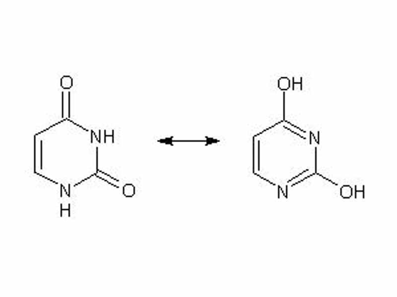 Uracil undergoes amide-iminol tautomeric shifts because of its resonance structures resulting from the N and O substitutents.