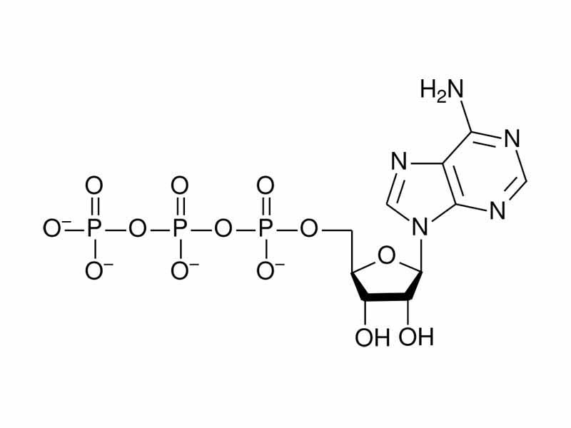 ATP chemical structure