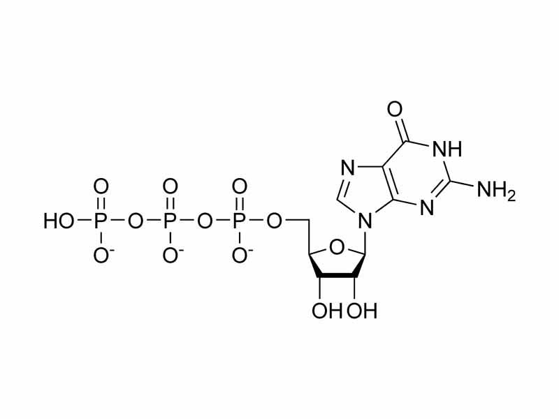 Guanosine triphosphate