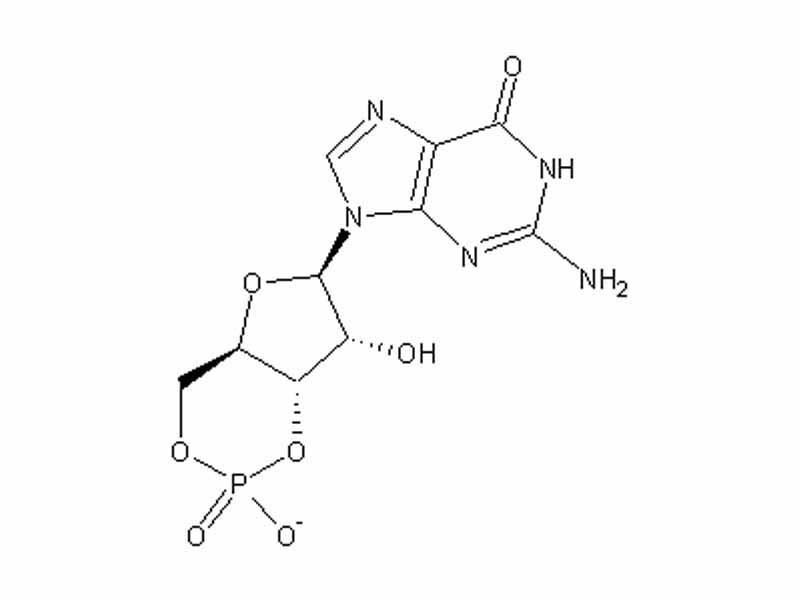 Cyclic GMP chemical structure