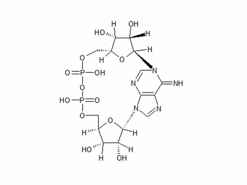 Cyclic ADP Ribose structure