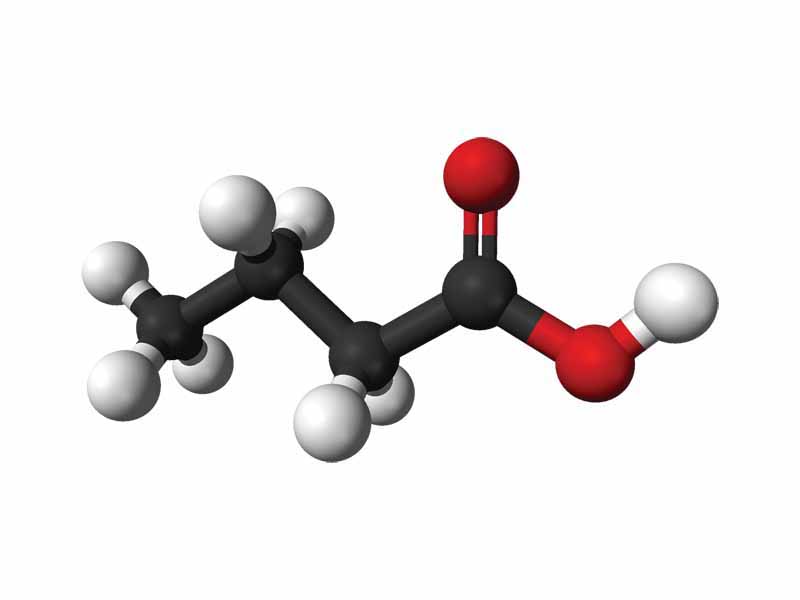 Butyric acid ball and stick