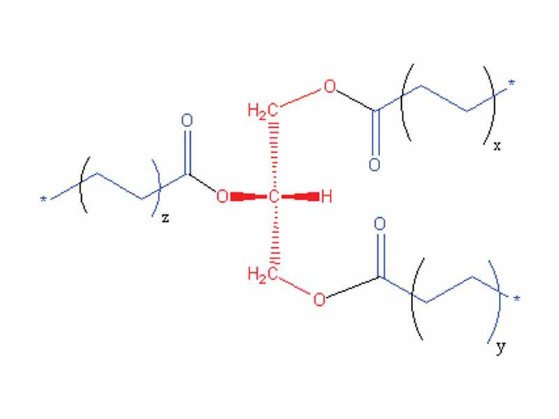 General structure of a triglyceride