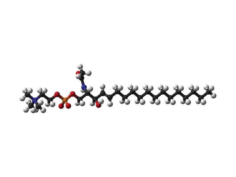 Ball-and-stick model of sphingomyelin