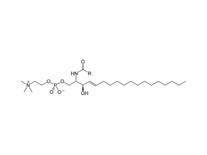 Skeletal formula of sphingomyelin