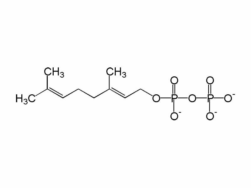 Chemical structure of geranyl pyrophosphate