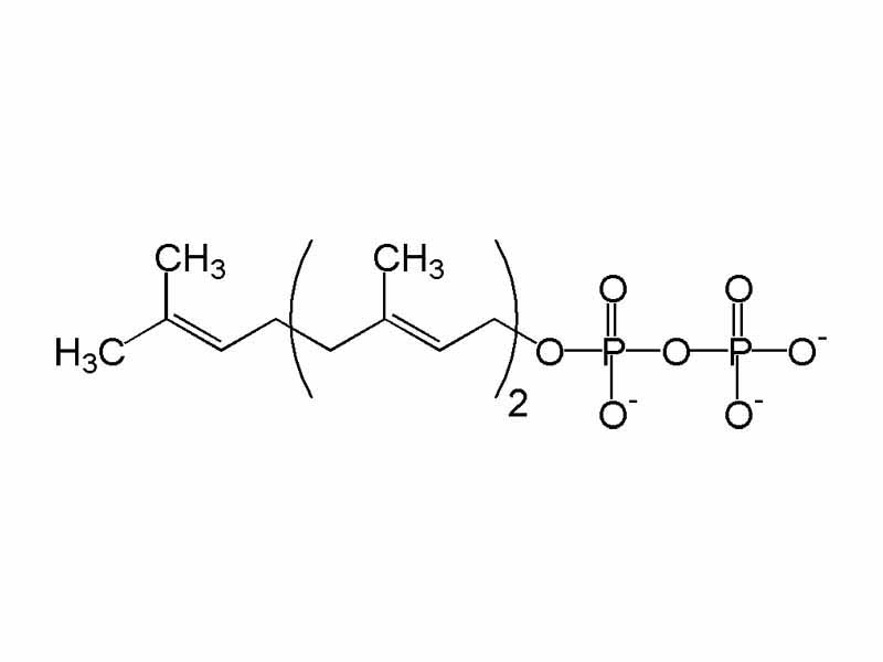 Chemical structure of farnesyl pyrophosphate