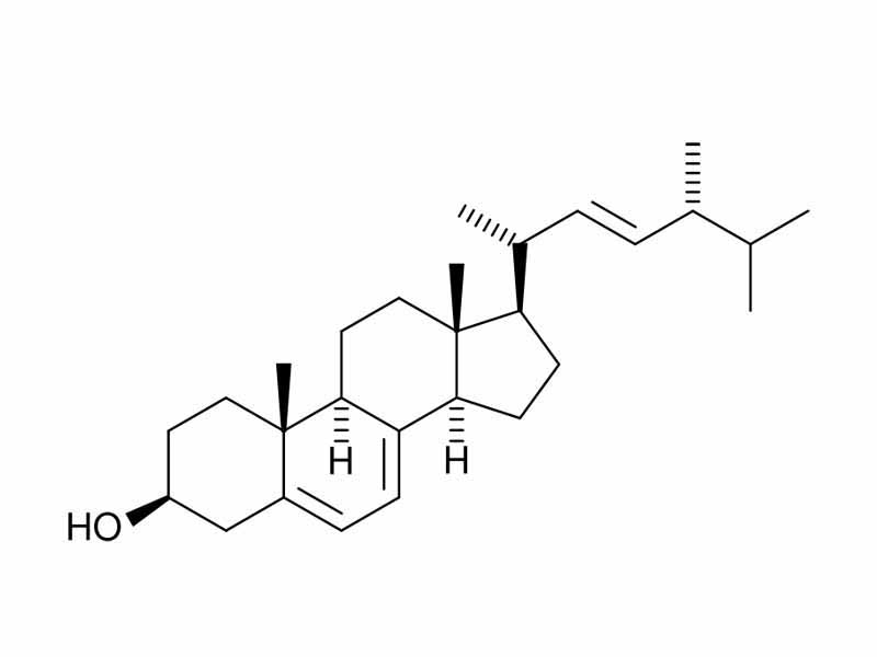 Ergosterol structure