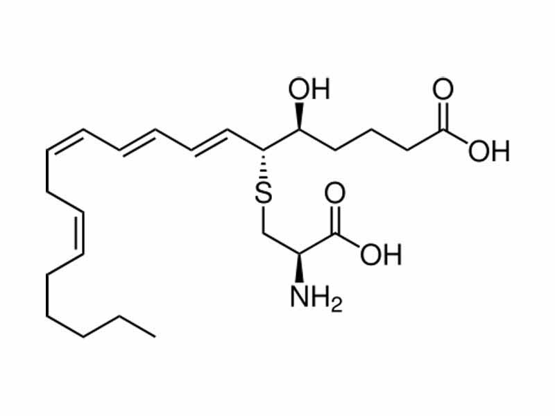 Leukotriene E4