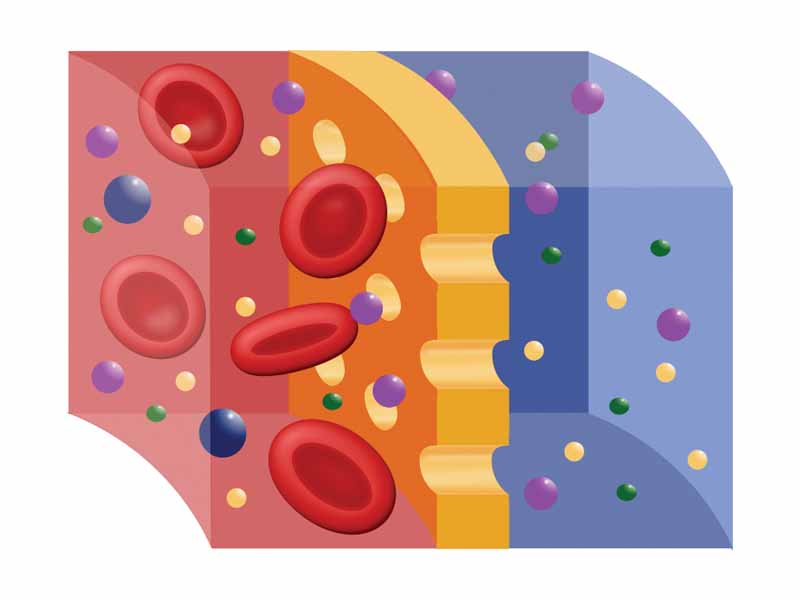 Scheme of semipermeable membrane during hemodialysis, where red is blood, blue is the dialysing fluid, and yellow is the membrane.