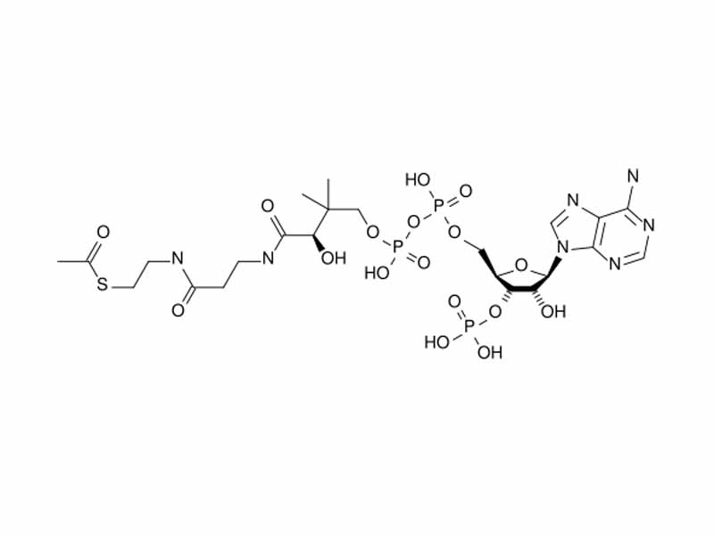 Acetyl-CoA structure