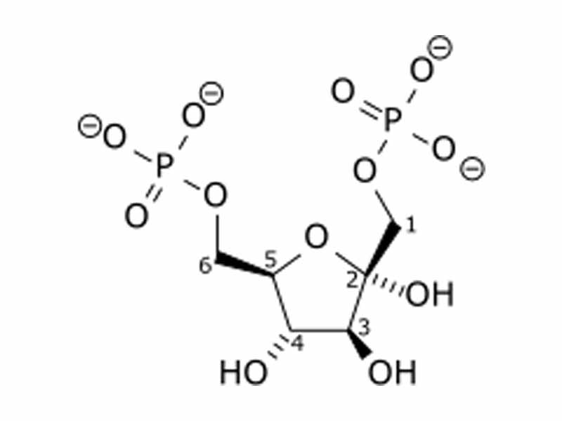  Fructose 1,6-bisphosphate  