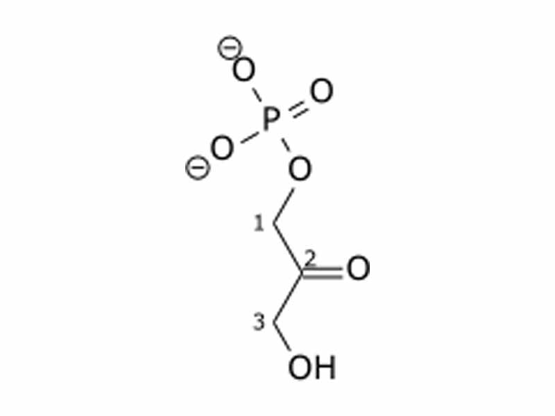 Dihydroxyacetone phosphate