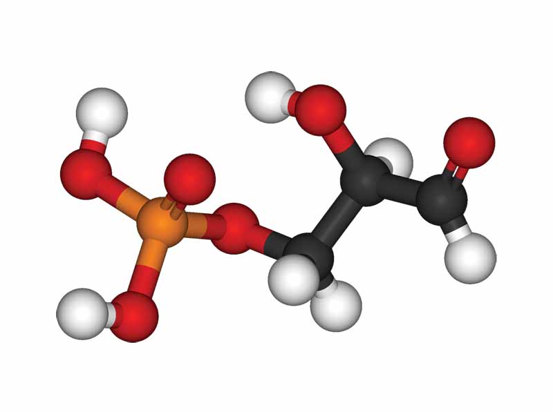 Glyceraldehyde 3-phosphate ball and stick