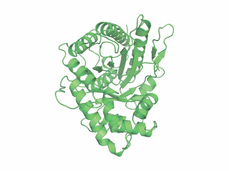 Fructose 1,6-bisphosphate aldolase