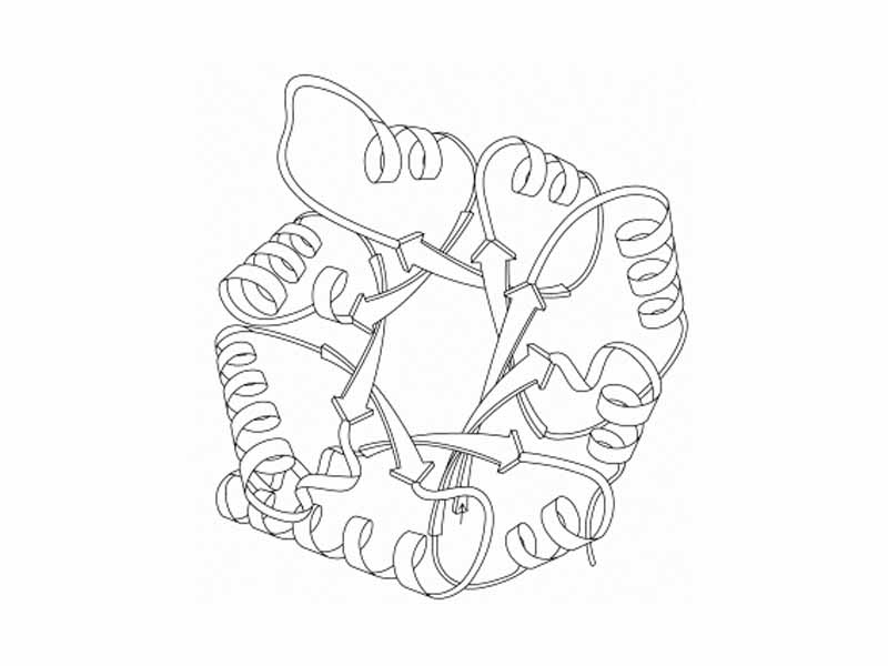 Triosephosphate isomerase 1