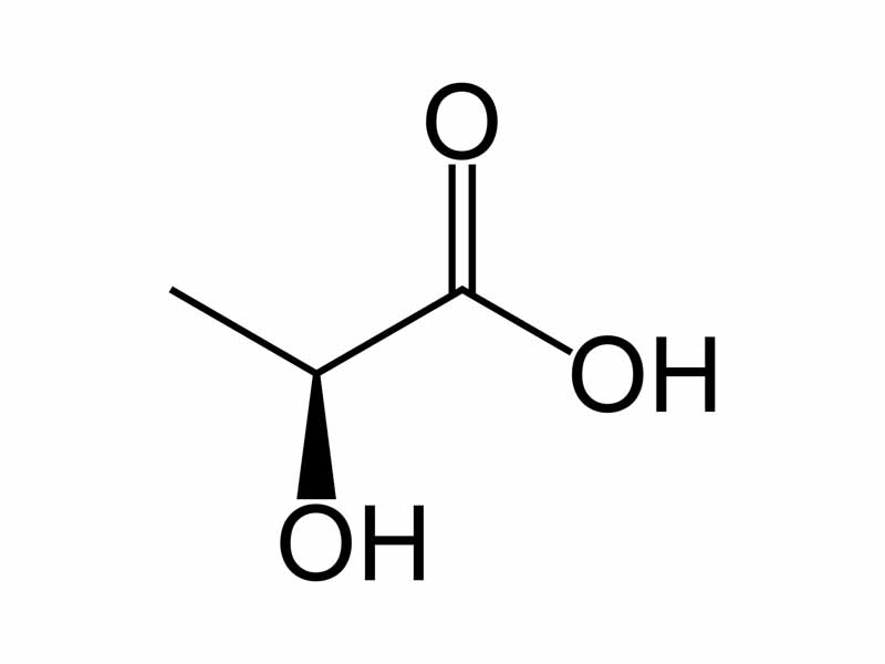 Lactic acid structure