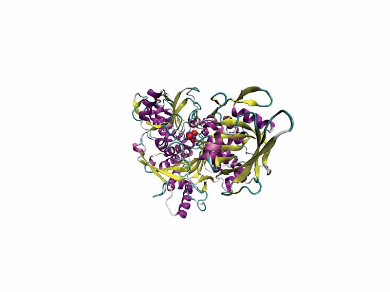 Illustration of pig aconitase in complex with the [Fe4S4] cluster, PDB ID 7ACN. The protein is colored by secondary structure, and iron atoms are blue and the sulfur red.