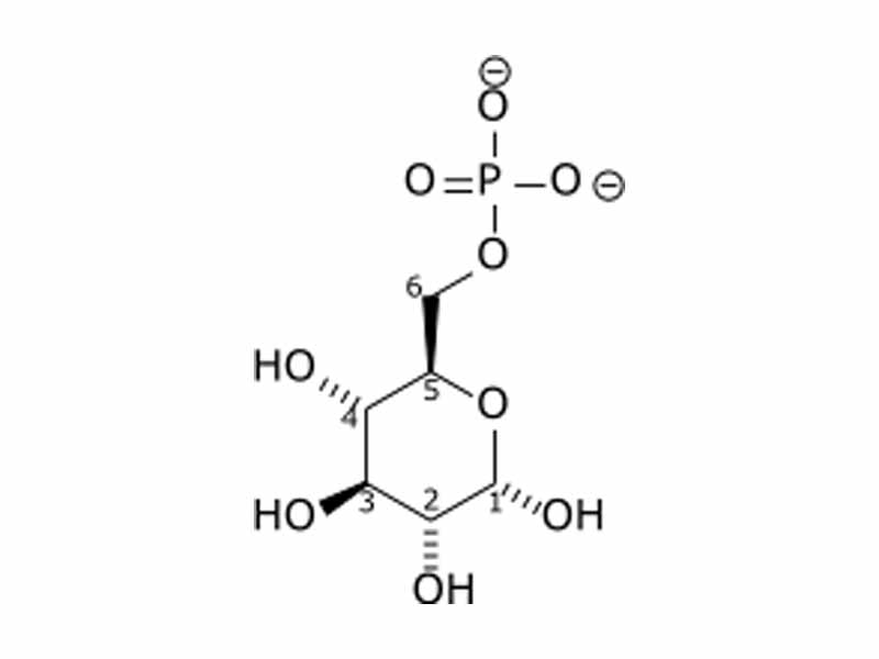 Glucose 6-phosphate