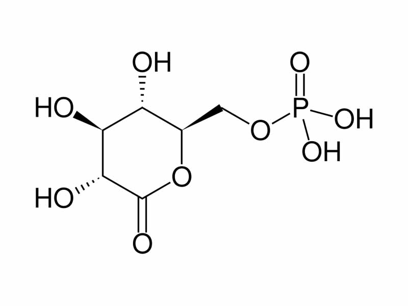 6-Phosphogluconolactone