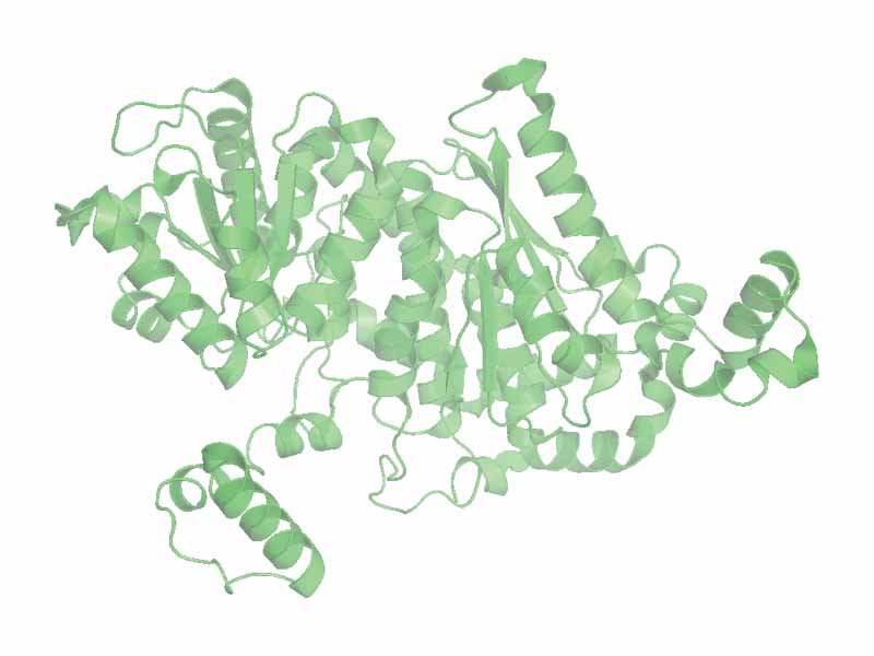 Glucose isomerase