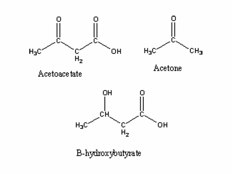 Ketone bodies