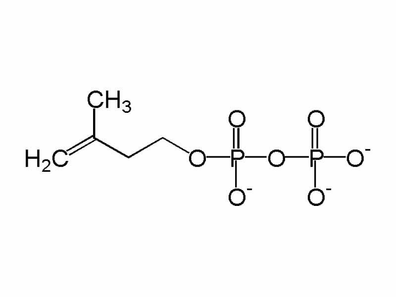 Isopentenyl pyrophosphate