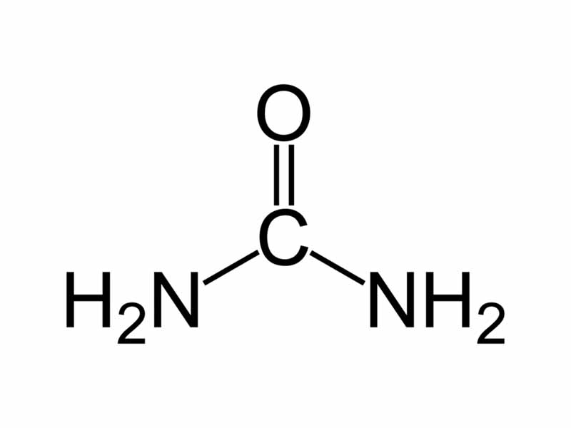 Urea