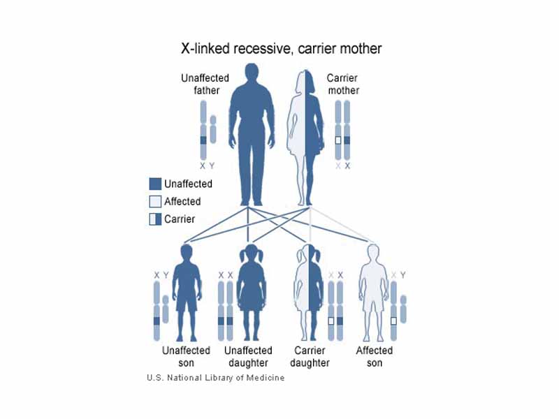 X-linked Recessive inheritance