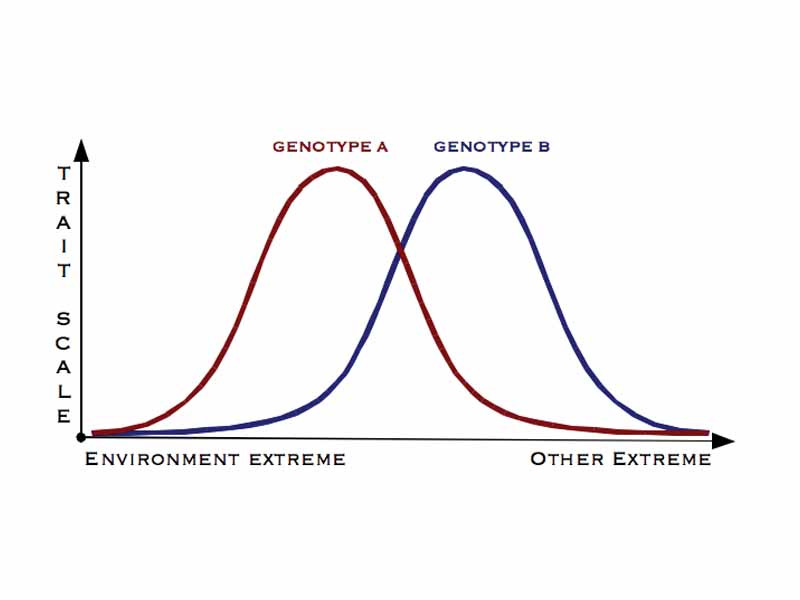 Different peaks in Gaussian distributions