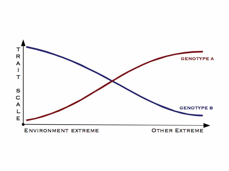 Approximately linear norms at opposite slopes