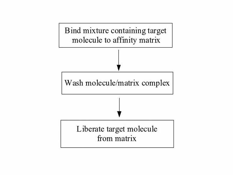 Affinity chromatography
