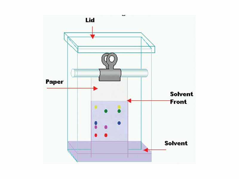 Paper chromatography