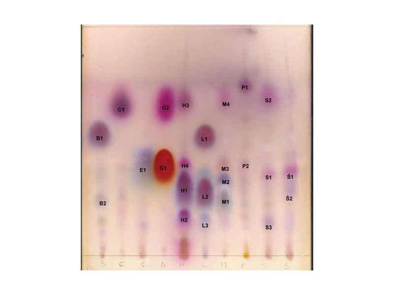 Chromatogram of 10 essential oils coloured with vanillin reagent.