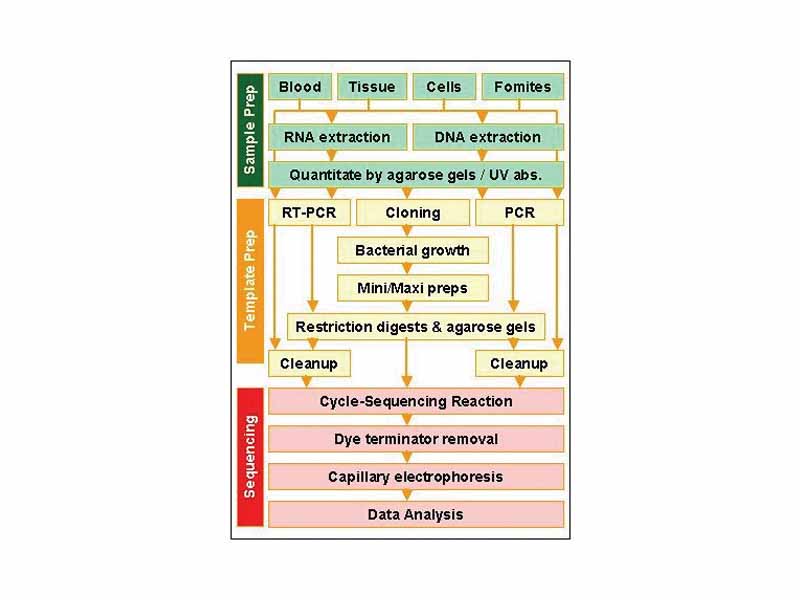 Sequencing workflow