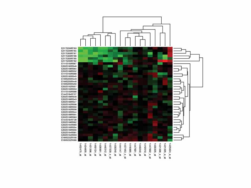 Heat maps of gene expression values are usually derived from expression profiling experiments.