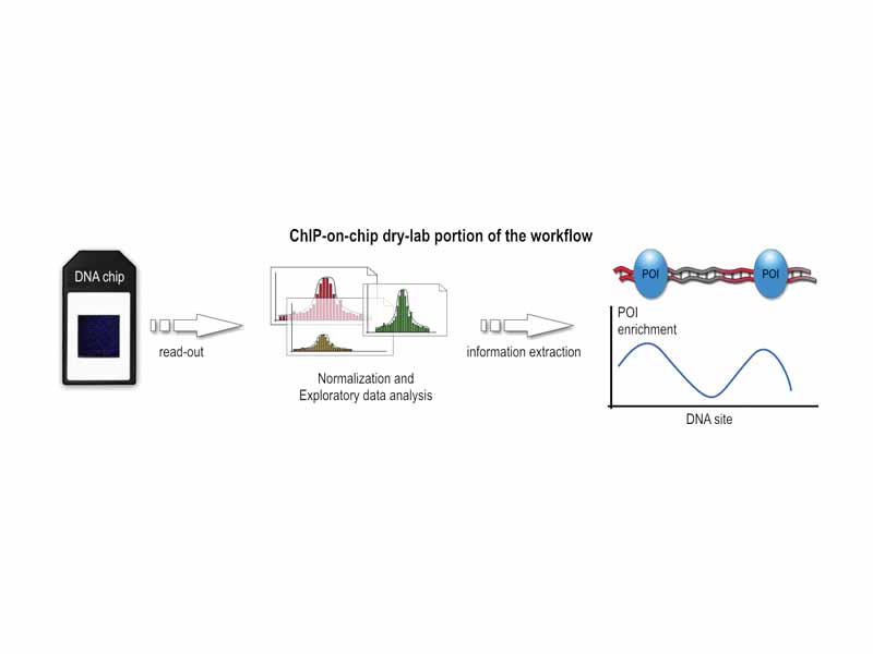 Workflow overview of the dry-lab portion of a ChIP-on-chip experiment.