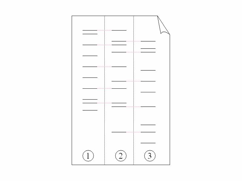 Electrophoresis of PCR-amplified DNA fragments. (1) Father. (2) Child. (3) Mother. The child has inherited some, but not all of the fingerprint of each of its parents, giving it a new, unique fingerprint.