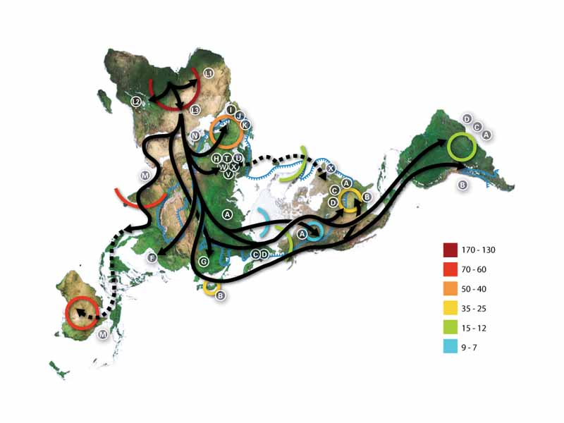 Hypothesized map of human migration based on mitochondrial DNA.