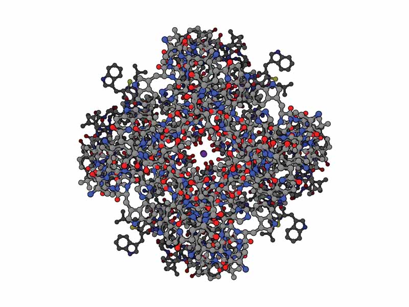 Top view of purple potassium ions moving through potassium channel