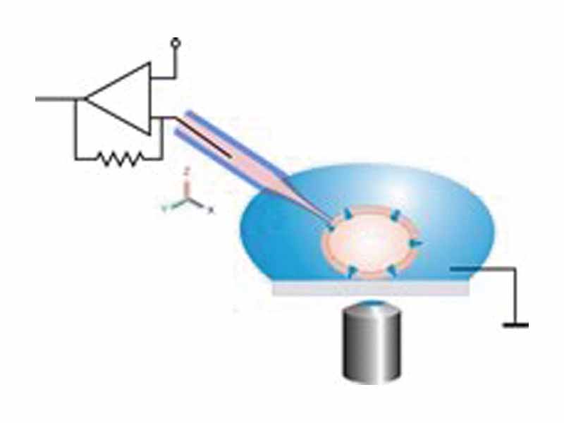 Schematic drawing of the classical patch clamp configuration.