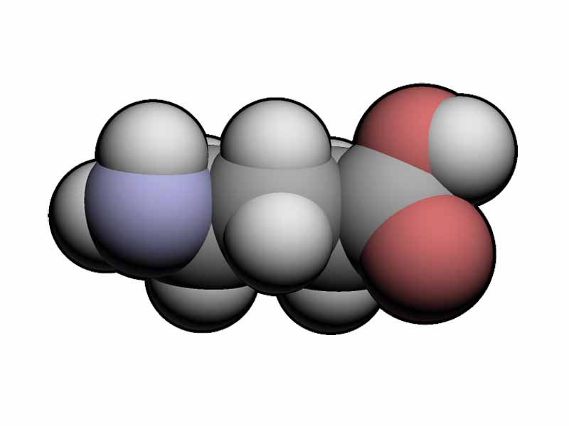 GABA 3D structure