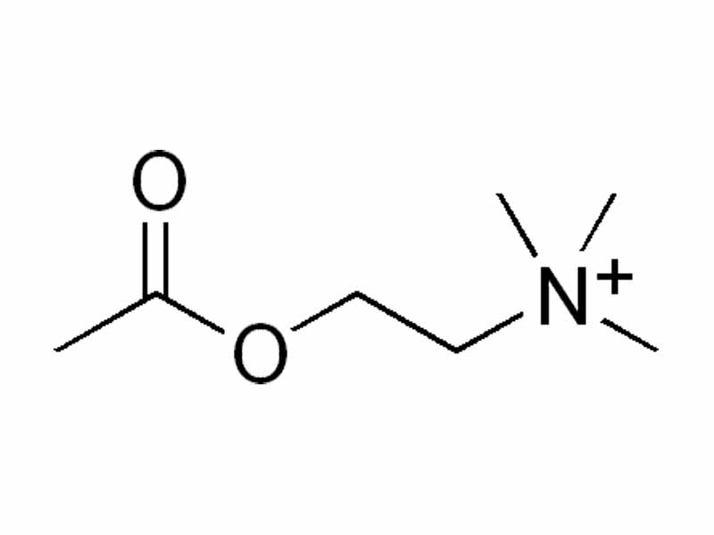 Acetylcholine