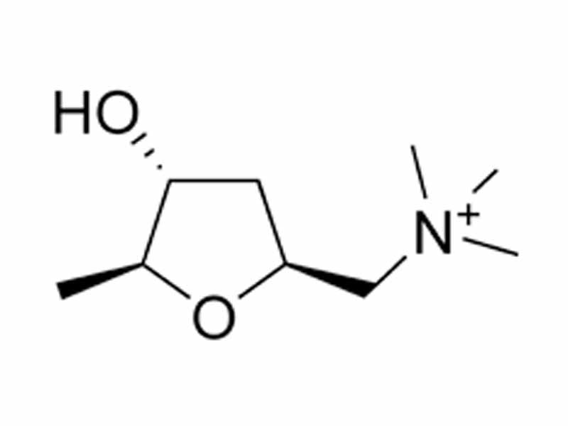 Muscarine - agonist used to distinguish between these two classes of receptors. Not normally found in the body.