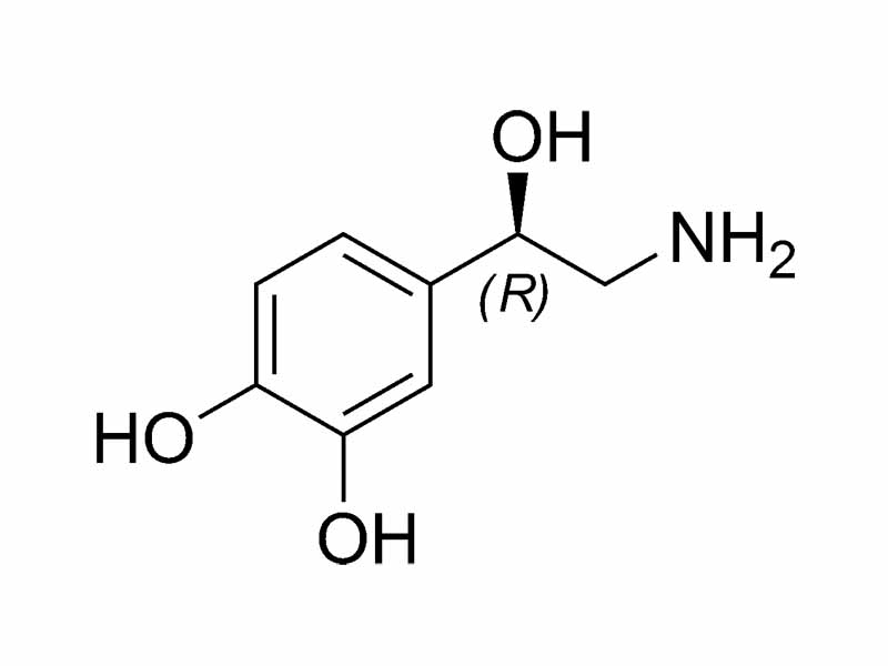 Norepinephrine