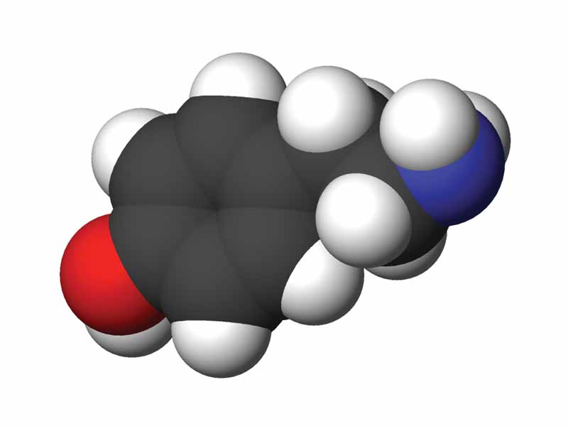 Tyramine 3D structure