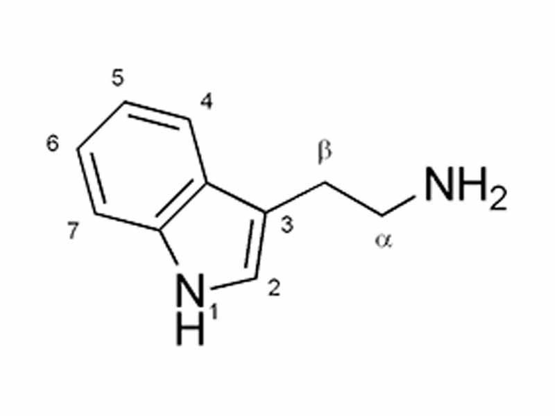 Tryptamine