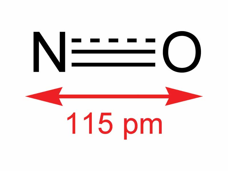 Nitric oxide