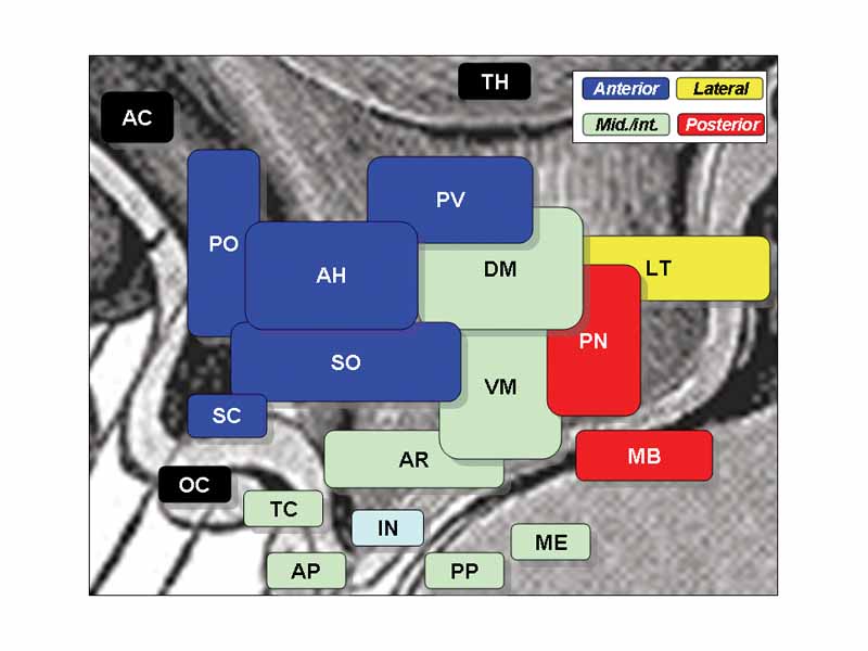 Hypothalamic Nuclei